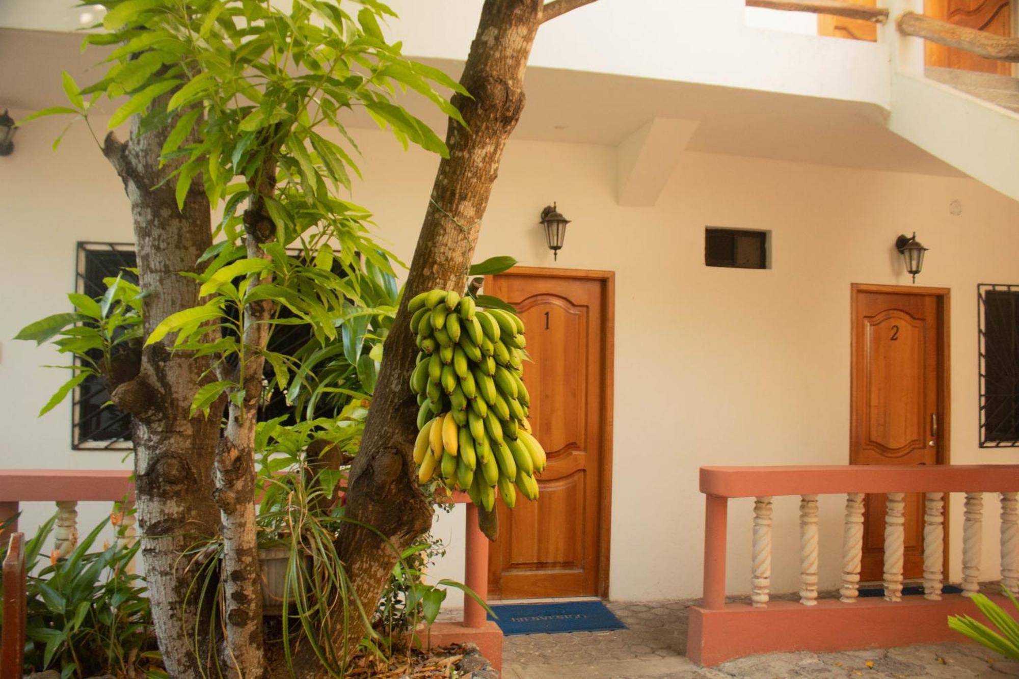 Casa De Nelly Hotel Puerto Baquerizo Moreno Luaran gambar